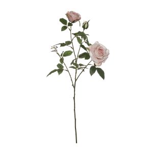 Rogue
Black Label RB Lush Garden Rose Spray Light Pink 25x25x63cm