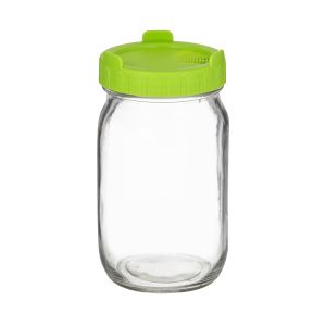 Davis & Waddell Homemade Co Sprouting Kit 0.8L Growing Jar/Straining Lid Clear/Green