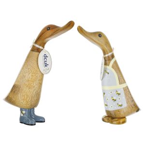 DCUK Buzzy Ducks 2 Assorted 10x10x20cm