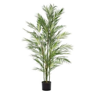 Rogue
Black Label RB Phoenix Palm-Garden Pot Green 75x75x153cm