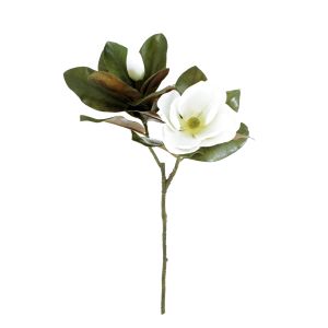 Rogue Black Label Magnolia Grand Flower with Bud & Leaves White 40x34x76cm