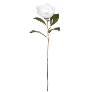 Rogue Grand Magnolia Stem White 20x14x74cm