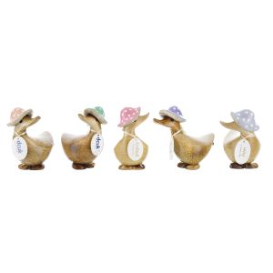 DCUK Toadstool Folk Duckys 5pcs Assorted 13x8x11cm