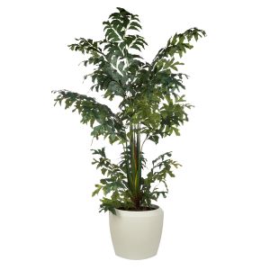 Rogue Caryota Palm Tree-Vienna Planter Green 121x121x227cm
