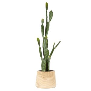 Rogue Pear Cactus-Dansk Pot Green 30x37x112cm