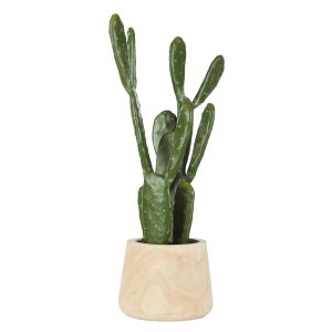 Rogue Pear Cactus-Dansk Pot Green 25x35x68cm