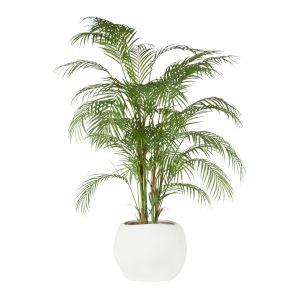 Rogue Phoenix Palm-Lyon Organic Planter Green & White 75x75x110cm