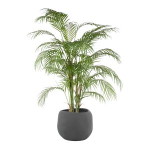 Rogue Phoenix Palm-Lyon Organic Planter Green & Black 75x75x110cm