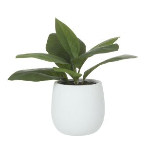 Rogue Lush Plant-Tub Pot Green 49x49x44cm