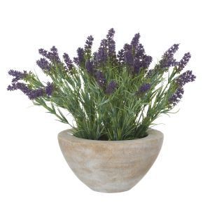 Rogue Lavender Plant-Earthenware Bowl Purple & Green 38x38x36cm