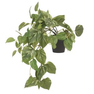 Rogue Pothos Hanging-Garden Pot Green 30x30x47cm