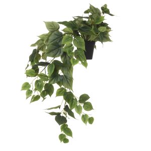 Rogue Philodendron Hanging-Garden Pot Green 45x45x84cm