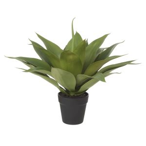 Rogue Agave-Garden Pot Green 56x56x48cm