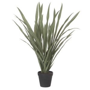 Rogue Yucca Plant-Garden Pot Green 35x35x57cm