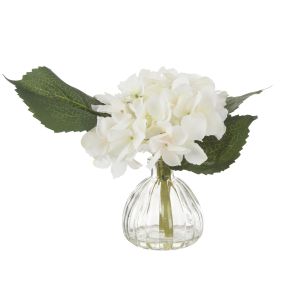 Rogue Hydrangea-Clear Glass Vase White 24x24x22cm