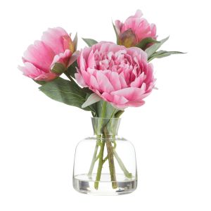 Rogue Peony Stem-Clear Glass Vase Dark Pink 25x25x25cm