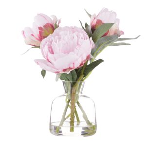 Rogue Peony Stem-Clear Glass Vase Pink 25x25x25cm