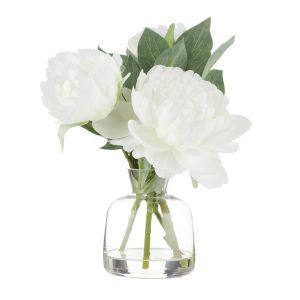Rogue Peony Stem-Clear Glass Vase White 25x25x25cm