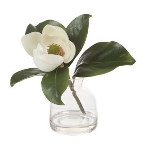 Rogue Magnolia Stem-Glass Vase White & Green 22x18x26cm