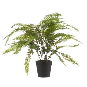 Rogue Sword Fern-Garden Pot Green 39x39x38cm