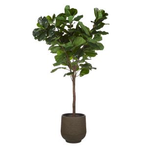 Rogue Fiddle Tree-Trillium Planter Green 170x170x207cm