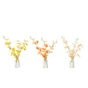 Rogue Dancing Orchids-Specimen Vase 6pcs/3 Assorted 25x20x43cm