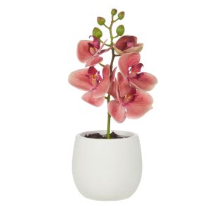 Rogue Orchid Stem-Tub Pot Orange & White 15x10x26cm