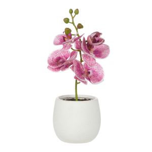 Rogue Orchid Stem-Tub Pot Purple & White 15x10x26cm