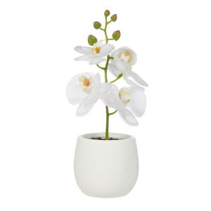 Rogue Orchid Stem-Tub Pot White & White 15x10x26cm