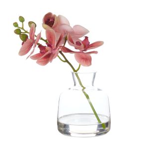 Rogue Orchid Stem-Clear Vase Burnt Orange & Glass 20x11x23cm
