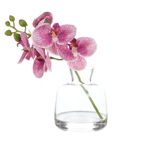 Rogue Orchid Stem-Clear Vase Purple & Glass 20x11x23cm