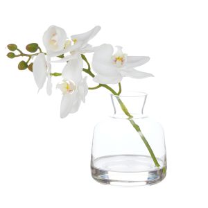 Rogue Orchid Stem-Clear Vase White & Glass 20x11x23cm