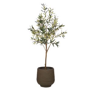 Rogue Olive Tree-Trillium Planter Green 66x66x164cm