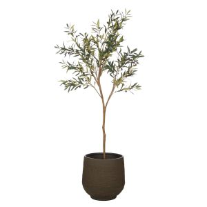 Rogue Olive Tree-Trillium Planter Green 89x70x197cm