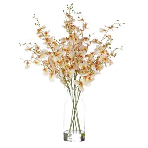 Rogue Dancing Orchids-Rachel Vase Cream & Clear 57x49x37cm
