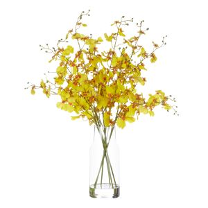 Rogue Dancing Orchids-Rachel Vase Yellow & Clear 57x49x37cm