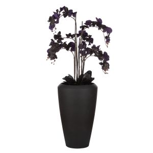 Rogue Phalaenopsis Orchid-Vienna Tall Planter Black 75x75x150cm