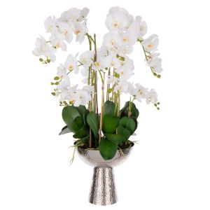 Rogue Phalaenopsis Orchid-Pali Metal Footed Planter White 54x69x97cm