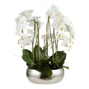 Rogue Phalaenopsis Orchid-Pali Metal Bowl White 70x65x70cm