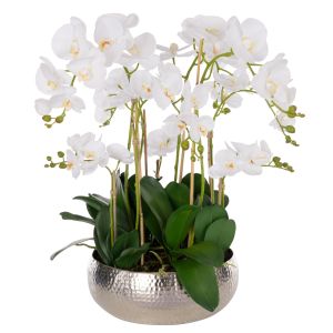 Rogue Phalaenopsis Orchid-Pali Metal Bowl White 73x75x68cm