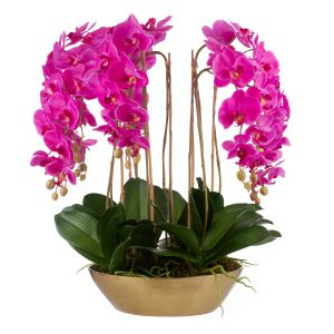 Rogue Phalaenopsis Orchid-Metal Bowl Pink 74x74x70cm