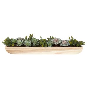 Rogue Echeveria Succulent Garden-Dansk Green 107x30x23cm