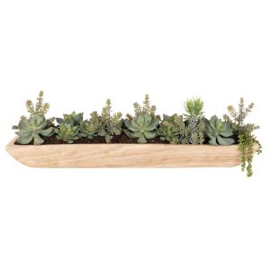 Rogue Echeveria Succulent Garden-Dansk Green 28x101x30cm
