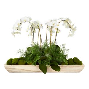 Rogue Phalaenopsis Fern Garden-Dansk Green 107x30x23cm