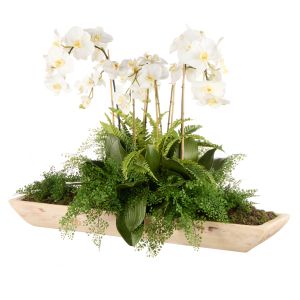 Rogue Phalaenopsis Fern Garden-Dansk Green 107x30x23cm