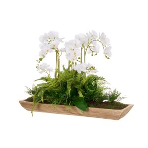 Rogue Phalaenopsis Fern Garden-Dansk Green 97x54x69cm