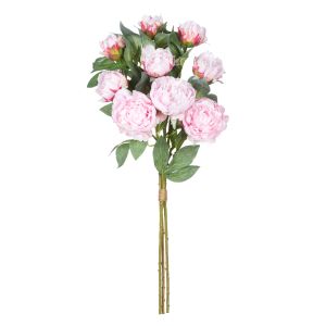 Rogue Peony Stem UV Bunch Pink 36x36x92cm