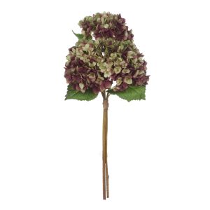 Rogue Grand Hydrangea Stem Bunch Burgundy 32x32x74cm