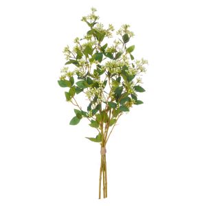 Rogue Seeding Spray Bunch Light Green 27x27x74cm