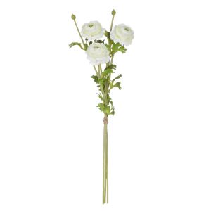 Rogue Ranunculus Spray Bunch White 17x17x80cm